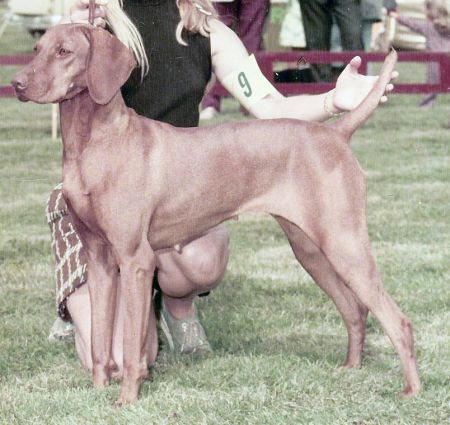 Image of Lady Little-Bit Smith
