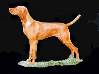 Image of Hubertus Claim To Fame