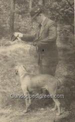 Thumbnail of Argo Lesan Selle