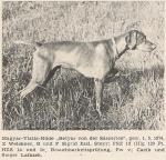 Thumbnail of Betyar von der Saczerice