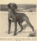 Thumbnail of Bor Selle