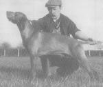 Thumbnail of Swanside Zsigmond