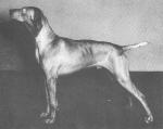 Thumbnail of Swanside Miklos