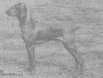 Thumbnail of Galfrid Whig