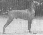 Thumbnail of Vaternish Bronze Star at Lowerdon
