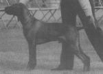 Thumbnail of Alsziv Pasque