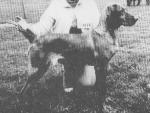 Thumbnail of Kinford Zsuzsi