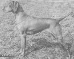 Thumbnail of Galfrid Mia
