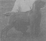 Thumbnail of Castlefield Windmill Girl