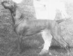 Thumbnail of Russetmantle Ember