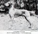 Thumbnail of Galfrid Vilmos