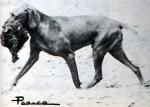 Thumbnail of Galfrid Odo