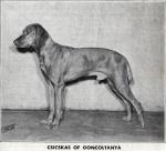 Thumbnail of Csicskas of Goncoltanya