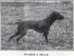 Thumbnail of Maggie z Selle