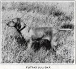 Thumbnail of Futaki Juliska