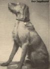 Thumbnail of Aya Selle