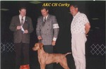 Thumbnail of Corky