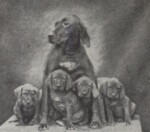 Thumbnail of Marcsa / Kaposi Marcsa I