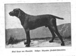 Thumbnail of Graf Hoyer vom Mansfeld (DK)