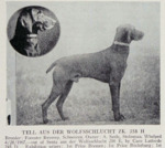 Thumbnail of Tell aus der Wolfsschlucht (DK) *