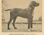 Thumbnail of Tellus II von Freudenthal (DK)