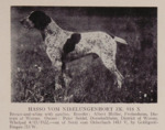 Thumbnail of Hasso vom Nibelungenhort (DK)
