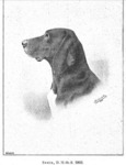 Thumbnail of Senta (DHStB 2803) (DK)
