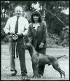 Thumbnail of Hanafor Lord Stafford