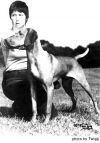 Thumbnail of Hanafor Vitez Tobias