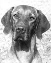 Thumbnail of Aranyoz Edes Eliza
