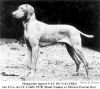Thumbnail of Mocsarkereso Vac of Galfrid