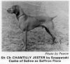 Thumbnail of Chantilly Jester