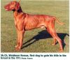 Thumbnail of Waidman Remus