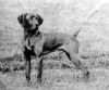 Thumbnail of Kingsbury Colin