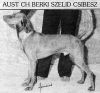 Thumbnail of Berki Szelid Csibesz