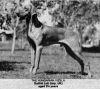 Thumbnail of Galfrid Lott