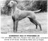 Thumbnail of Gardenway Rica of Pitswarren