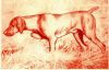 Thumbnail of Brok Selle (1959)