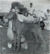 Thumbnail of Sandor Barat