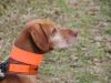 Thumbnail of Raany