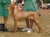 Thumbnail of Mrs Princess Rosey Posey