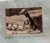 Thumbnail of Gingo v Schloss Loosdorf