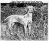 Thumbnail of Nikki of Bayview