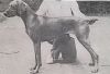 Thumbnail of Cariad's Egyke Barat