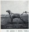 Thumbnail of Jakab v Hunt