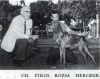 Thumbnail of Piros Rozsa Hercege