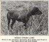 Thumbnail of Weedy Creek Lobo