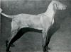 Thumbnail of Kinford Nora