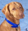 Thumbnail of Rab Lali Reddog Ranch Tacoma
