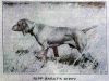 Thumbnail of Ripp Barat's Rippy